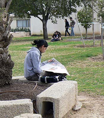 students studying outside